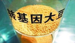 金龍魚陷轉基因門風波 專家稱安全性尚無定論，對酒類經營有何啟示？